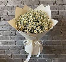 Букет цветов из:  Ромашки #REPLACE_PRED# Старой Майне