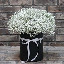 Цветочная композиция из Гипсофила в шляпной коробке в Старой Майне