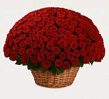 Премиум букет из: Розы в Старой Майне